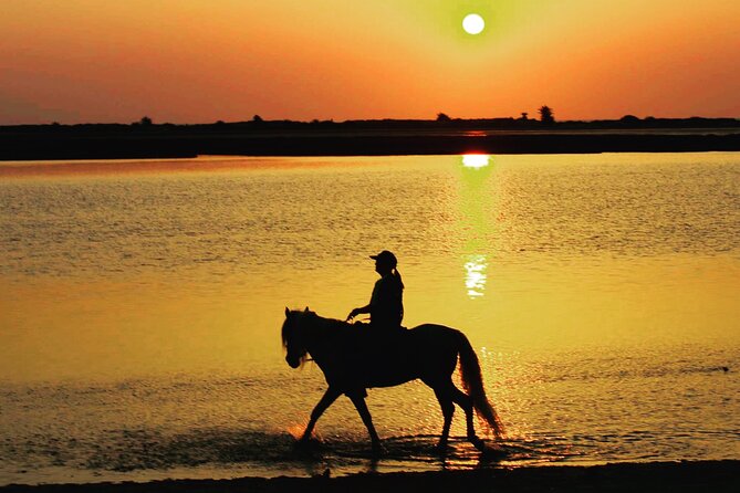 Horseback Riding at Sunrise 3h - Refund Policy