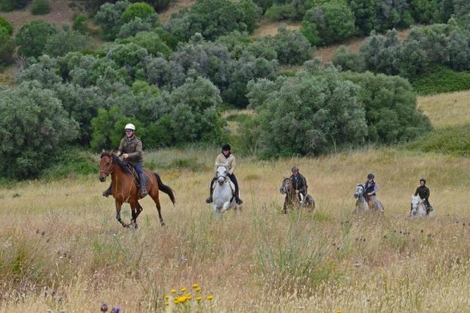 Horseback Riding In Lisbon - Arrábida - Louro Trail Mountain 5 - 6 Hours - Common questions