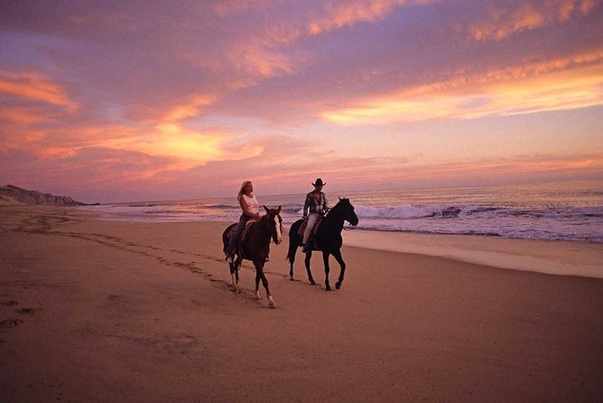 Horseback Riding on The Beach and Through The Desert! - Common questions