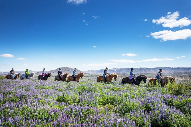 Horseback Riding Tour in Iceland - Cancellation Policy