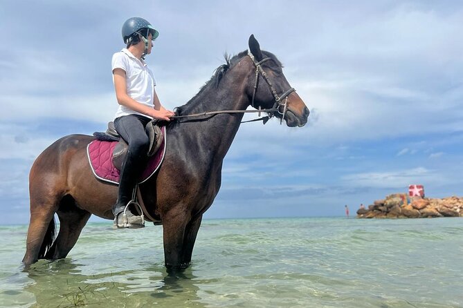 Horseback Riding With Private Transfer - Pricing Packages and Legal Information