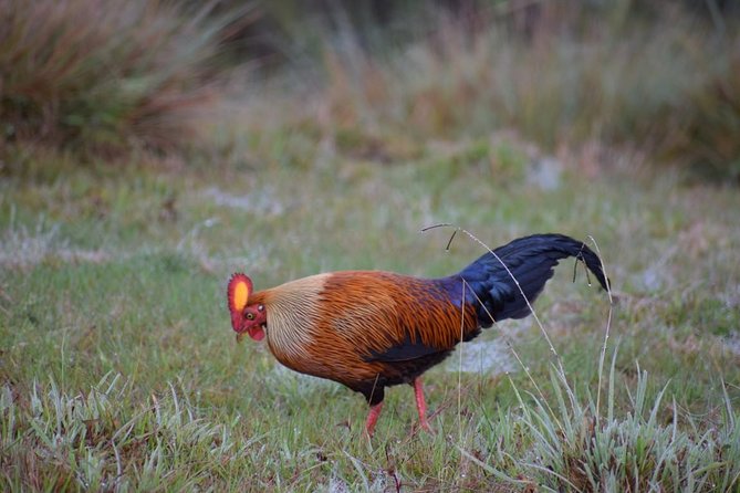 Horton Plains National Park Entrance Ticket - Cancellation Policy and Refund Details