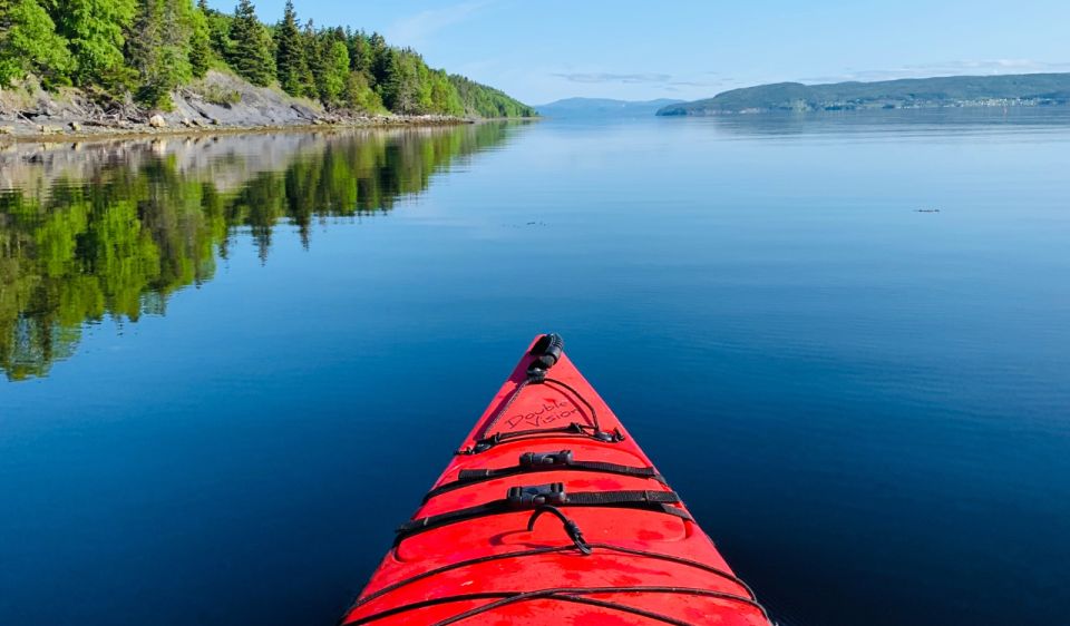 Humber Arm South: Bay of Islands Guided Kayaking Tour - Common questions