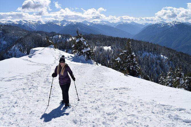 Hurricane Ridge Guided Snowshoe Tour in Olympic National Park - Last Words