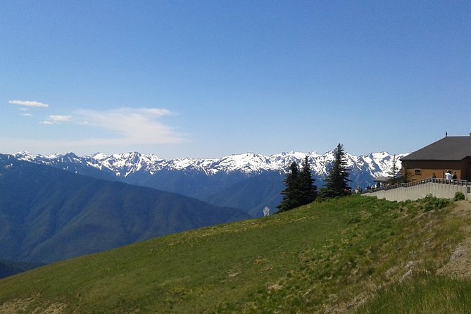 Hurricane Ridge Olympic National Park From Seattle - Last Words
