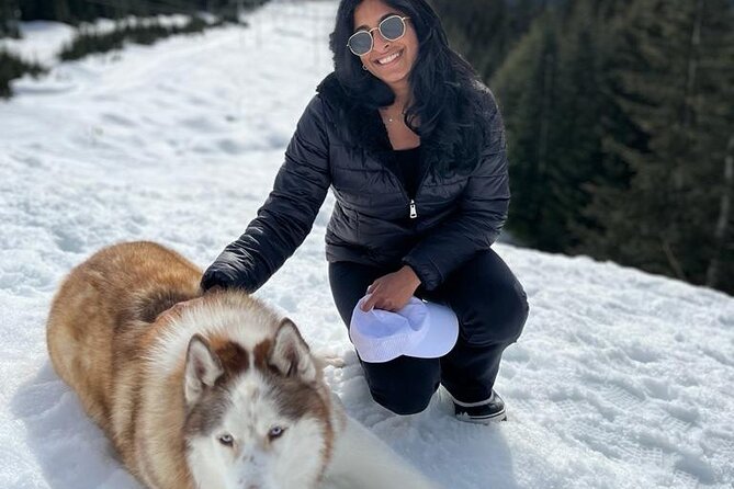 Husky Hikes Private Mountain Tours - Company Information