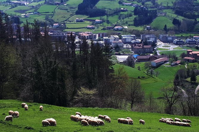 Idiazabal Cheese Tour From San Sebastian - Transparent Cancellation Policy