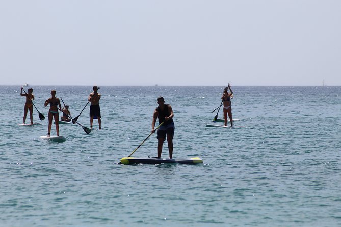 Initiation or Journey in Stand up Paddel (Sup) in El Campello (Alicante) - Equipment Needed