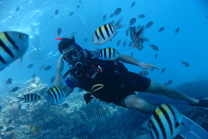 Intro Diving 2 Stops for Beginners With Pick-Up and Lunch - Hurghada - Last Words