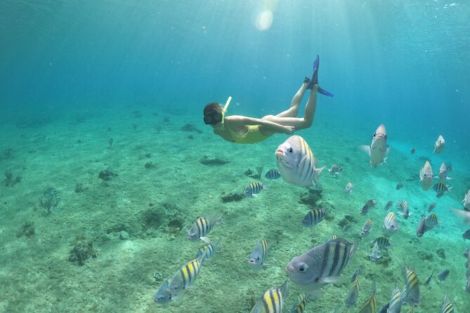 Invisible Boat Snorkeling Adventure in Cozumel - Additional Information