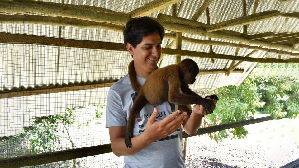 Iquitos: 6-Hour Wonderful Wildlife Guided Tour - Animal Feeding Experience