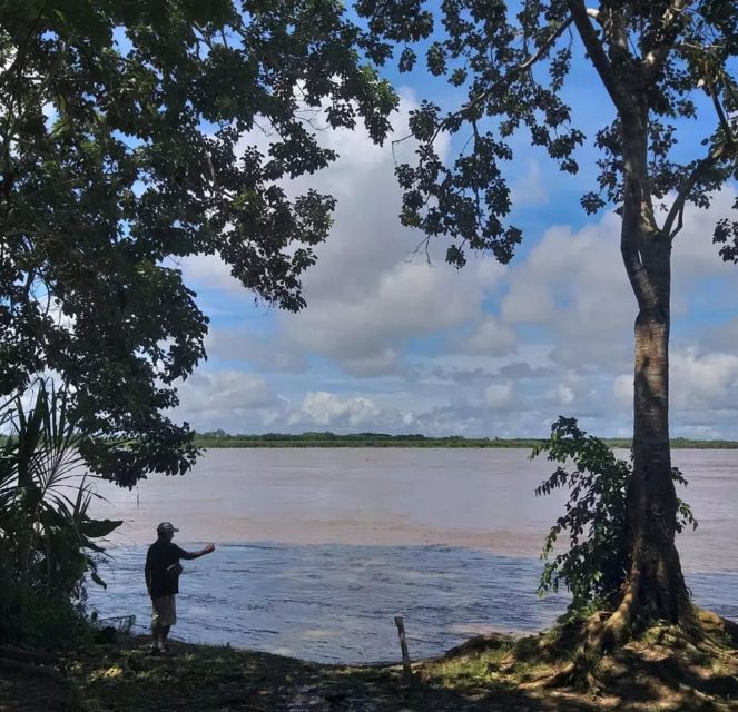 Iquitos: Jungle Tour on Boat, Itaya River - Testimonials