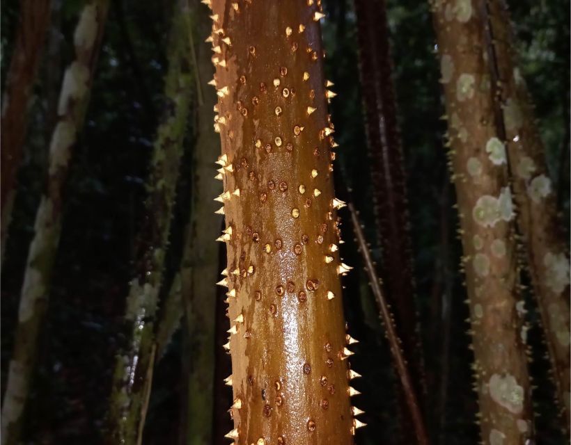 Iquitos: Private Tour of Pacaya Samiria National Reserve - Recommendations and Final Thoughts