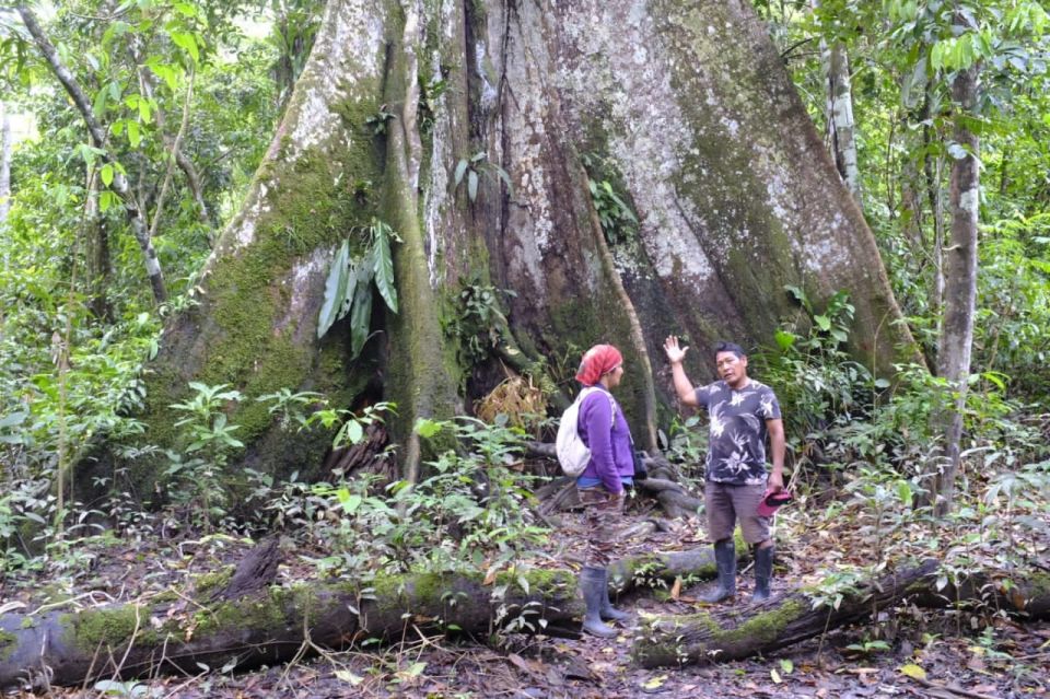 Iquitos: River and Nature 2 Days and 1 Night - Last Words