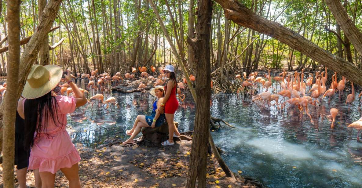 Isla Barú: Beach Club Access and Tour of the National Aviary - Common questions