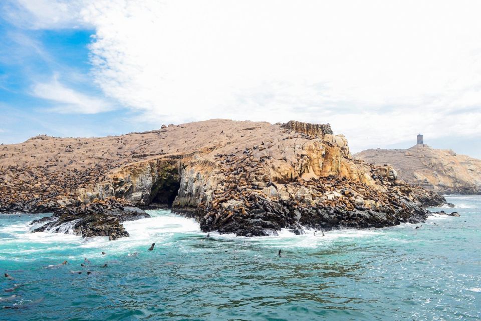 Islas Palomino - Swimming With Sea Lions - Directions and Itinerary