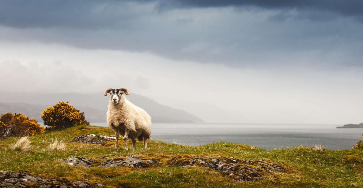 Isle of Mull and Iona 3-Day Small-Group Tour From Glasgow - Common questions