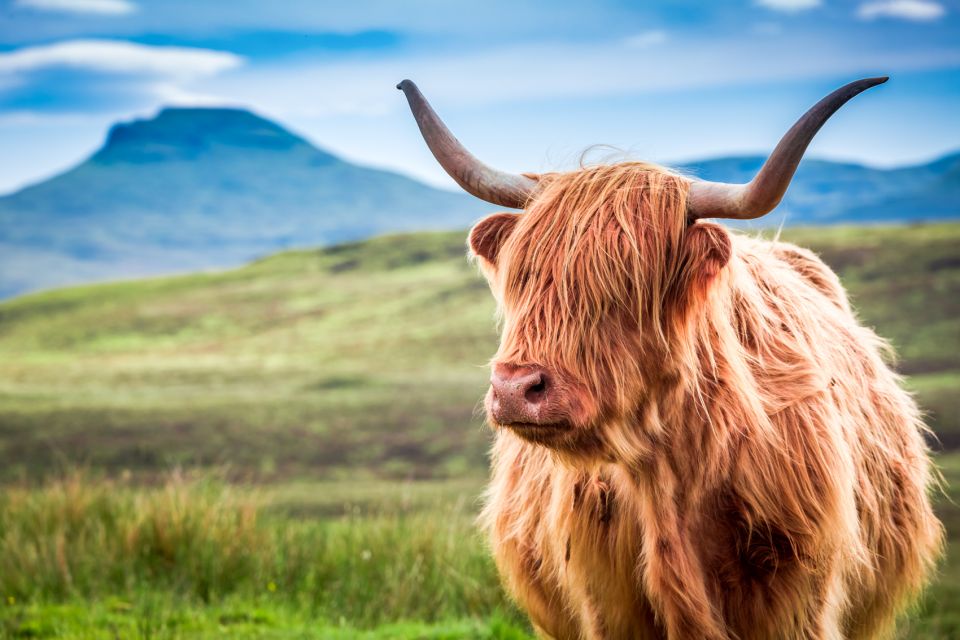 Isle of Skye & the Highlands: 3-Day Guided Tour From Glasgow - Additional Details