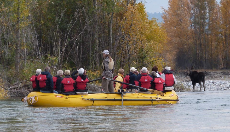 Jackson: Snake River Scenic Raft Float Tour With Teton Views - Safety Measures