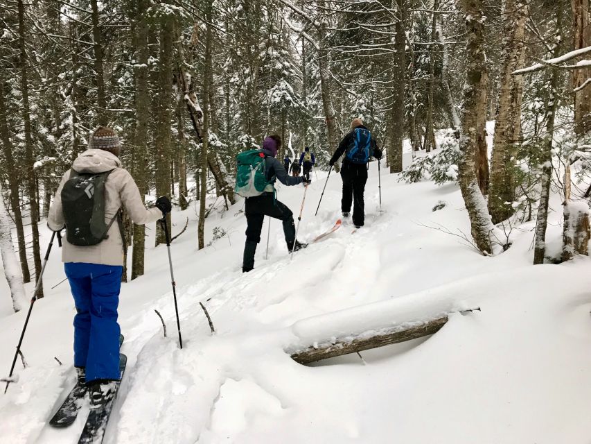 Jacques-Cartier National Park: Skiing Excursion - Safety Precautions