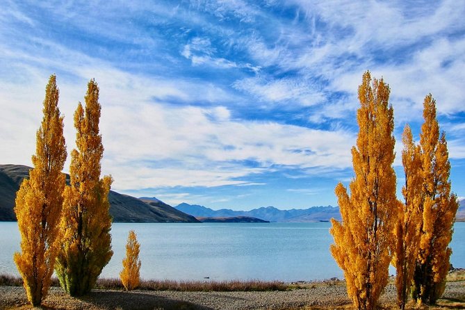 [Japanese Guide] Christchurch-Lake Tekapo Special Pick-up Plan - Clear Cancellation Policy in Place