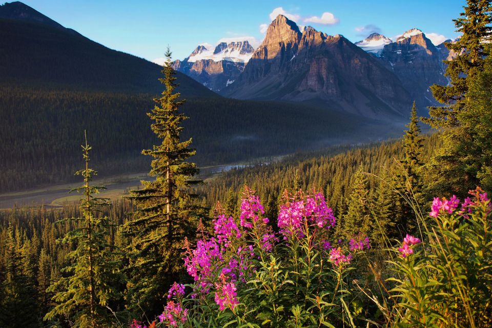 Jasper: Icefields Parkway Self-Guided Driving Audio Tour - Common questions