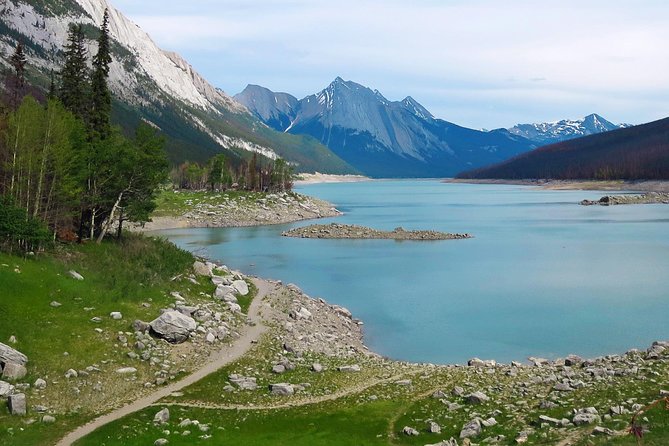 Jasper Wildlife and Waterfalls Tour With Maligne Lake Hike - Memorable Tour Experiences