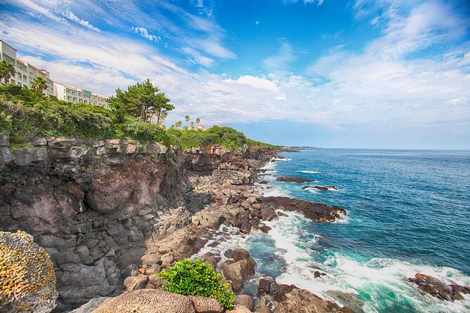 Jeju Island -Full Day Flexible Sightseeing Private (Guide Tour) - Terms and Conditions