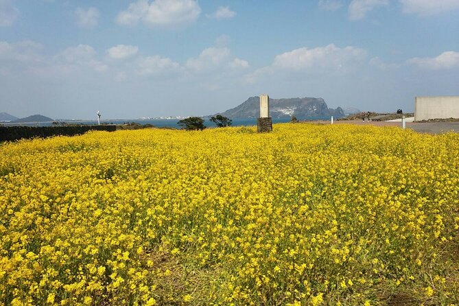 Jeju Private Package Tour East of Jeju Island (Unesco & Heritage) - Common questions