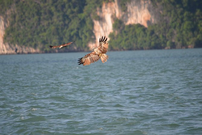 John Grays Adventure Hong by Starlight in Phang Nga Bay - Copyright Notice