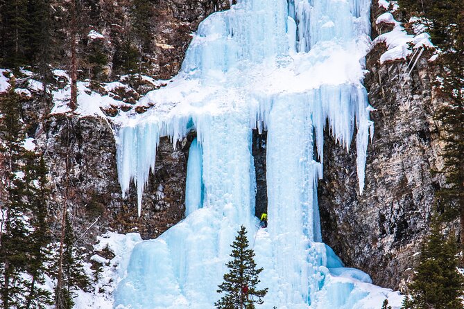 Johnston Canyon Frozen Waterfalls & Banff Backroads Wildlife Tour - Booking Information