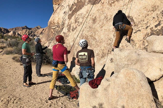 Joshua Tree Small-Group Half-Day Rock-Climbing Experience  - Palm Springs - Common questions