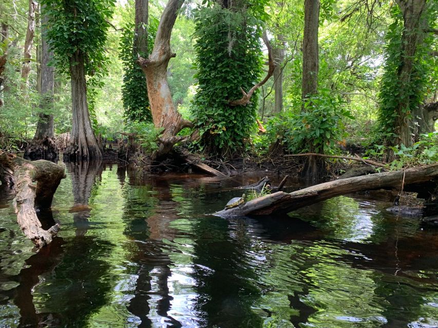 Jupiter: Loxahatchee River Scenic Kayak Tour - Common questions