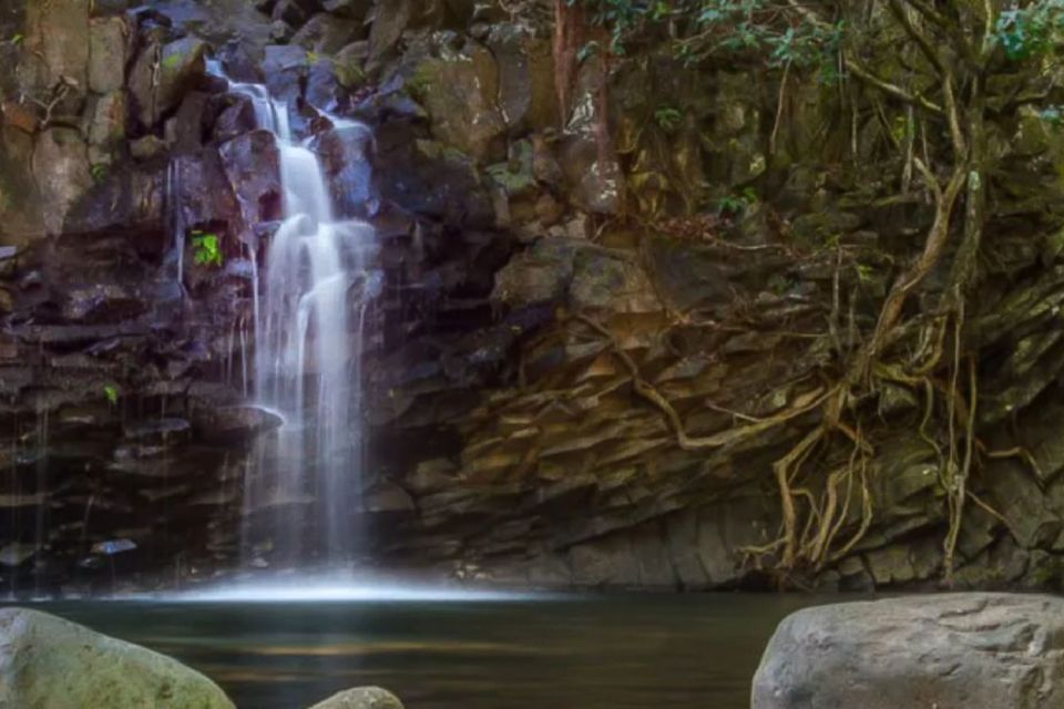 Kahului: Guided Rainforest and Waterfall Walk - Customer Feedback and Testimonials