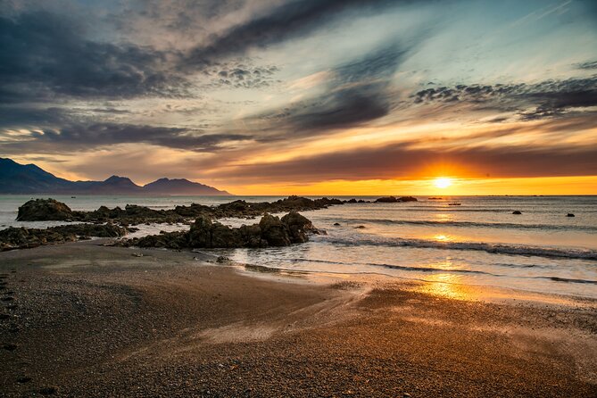 Kaikoura Day Tour With Kayak Experience From Christchurch - Pricing and Inclusions