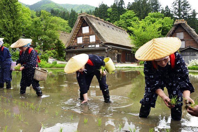 Kanazawa to Shirakawago to Takayama: English Speaking Driver Only - Contact and Booking Information