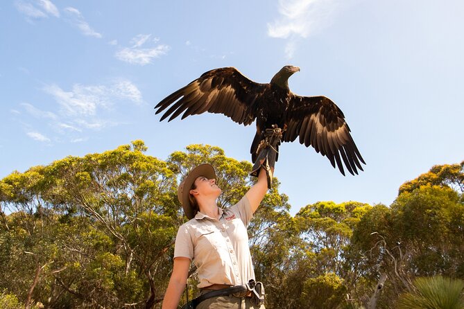 Kangaroo Island Iconic Sights and Wildlife Full-Day Tour - Last Words