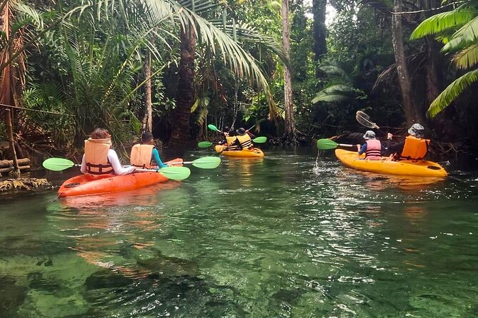 Kayak at Klongnamsai (Klong Root) - Common questions