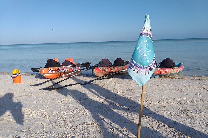 Kayak Experience in the Mangroves of Holbox - Traveler Photos and Testimonials