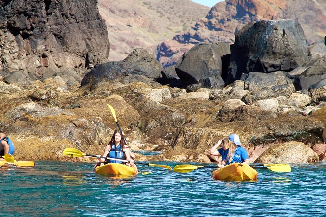 Kayak Experience @ Ponta De São Lourenço - Cancellation Policy