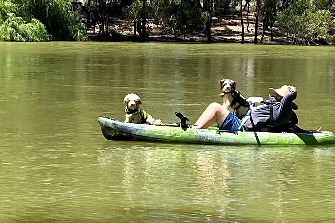 Kayak Self-Guided Tour on the Campaspe River Elmore, 30 Minutes From Bendigo - Refund and Change Policies