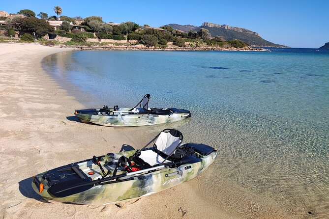 Kayak Tour in Golfo Aranci With Aperitif and Dolphin Watching - Common questions