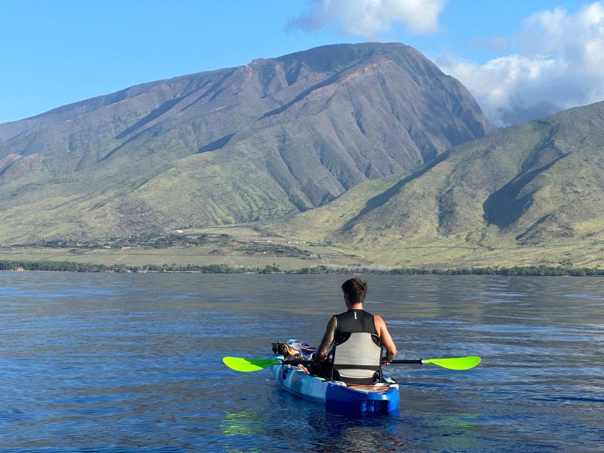 Kayak, Whale Watch And Snorkel At Turtle Town - Last Words