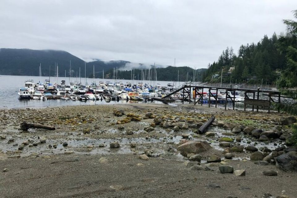 Kayaking Vancouver Tour - Common questions