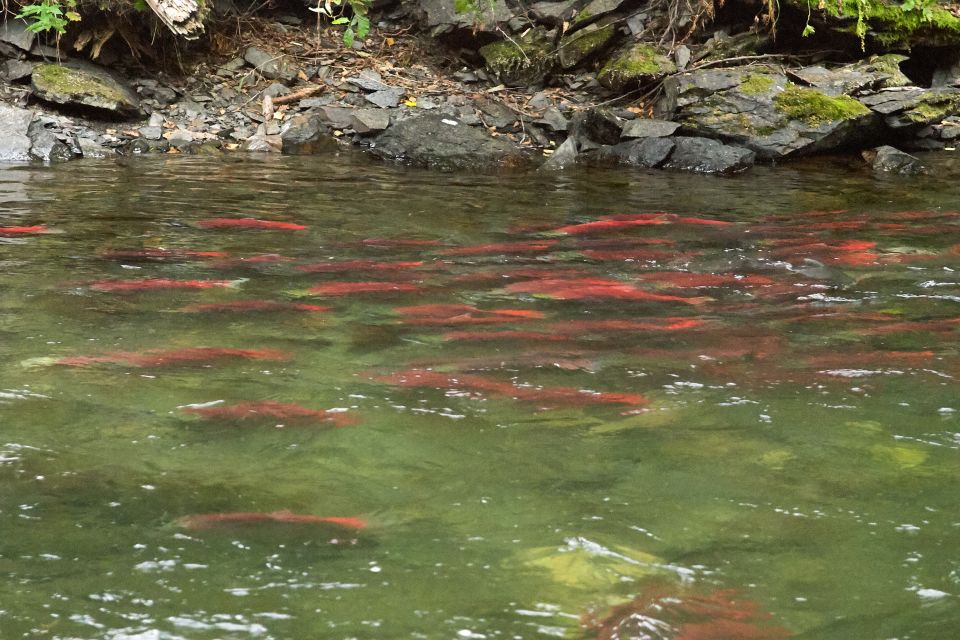 Kelowna: Mission Creek Salmon Run Audio Tour by E-Bike - Directions for the Salmon Run Tour