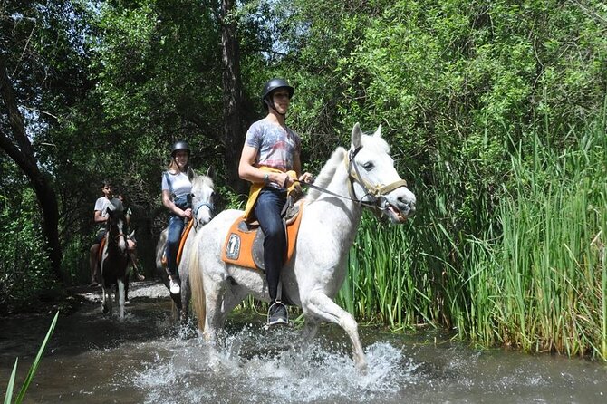 Kemer Horse Safari Experience With Free Hotel Transfer - Last Words