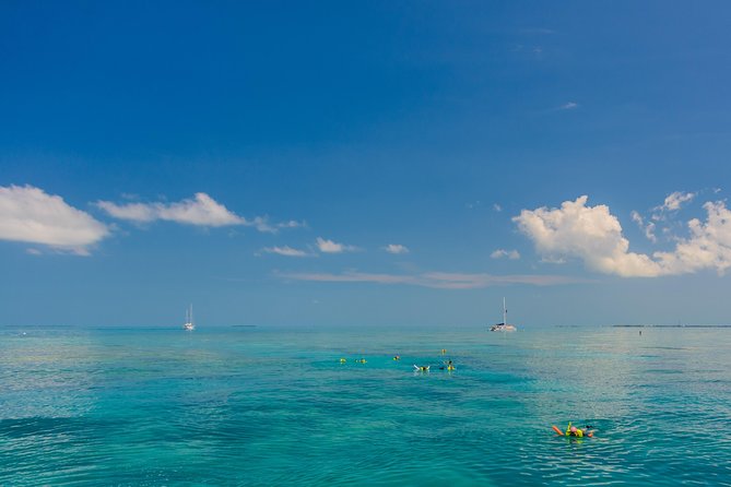 Key West Snorkel Experience With Live Music, Cocktails & More! - Common questions