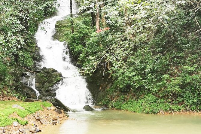 Khao Sok National Park Hiking and Canoeing Day Tour From Khao Lak - Last Words