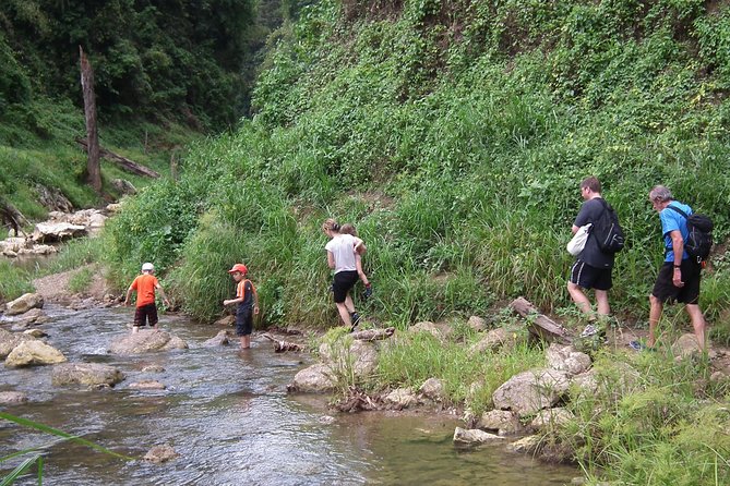 Khao Sok National Park Jungle Safari Full Day Tour From Phuket - Common questions