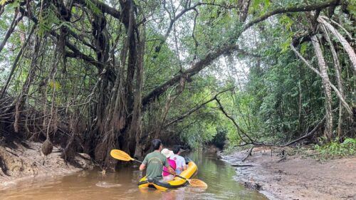 Khaolak Hightlight Tour With Eco Guide Adventure - Eco Guide Adventure Experience